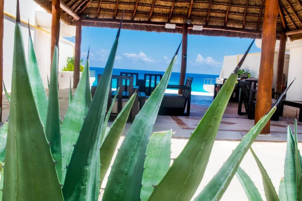 Cancun Marlin 32 Dış mekan fotoğraf